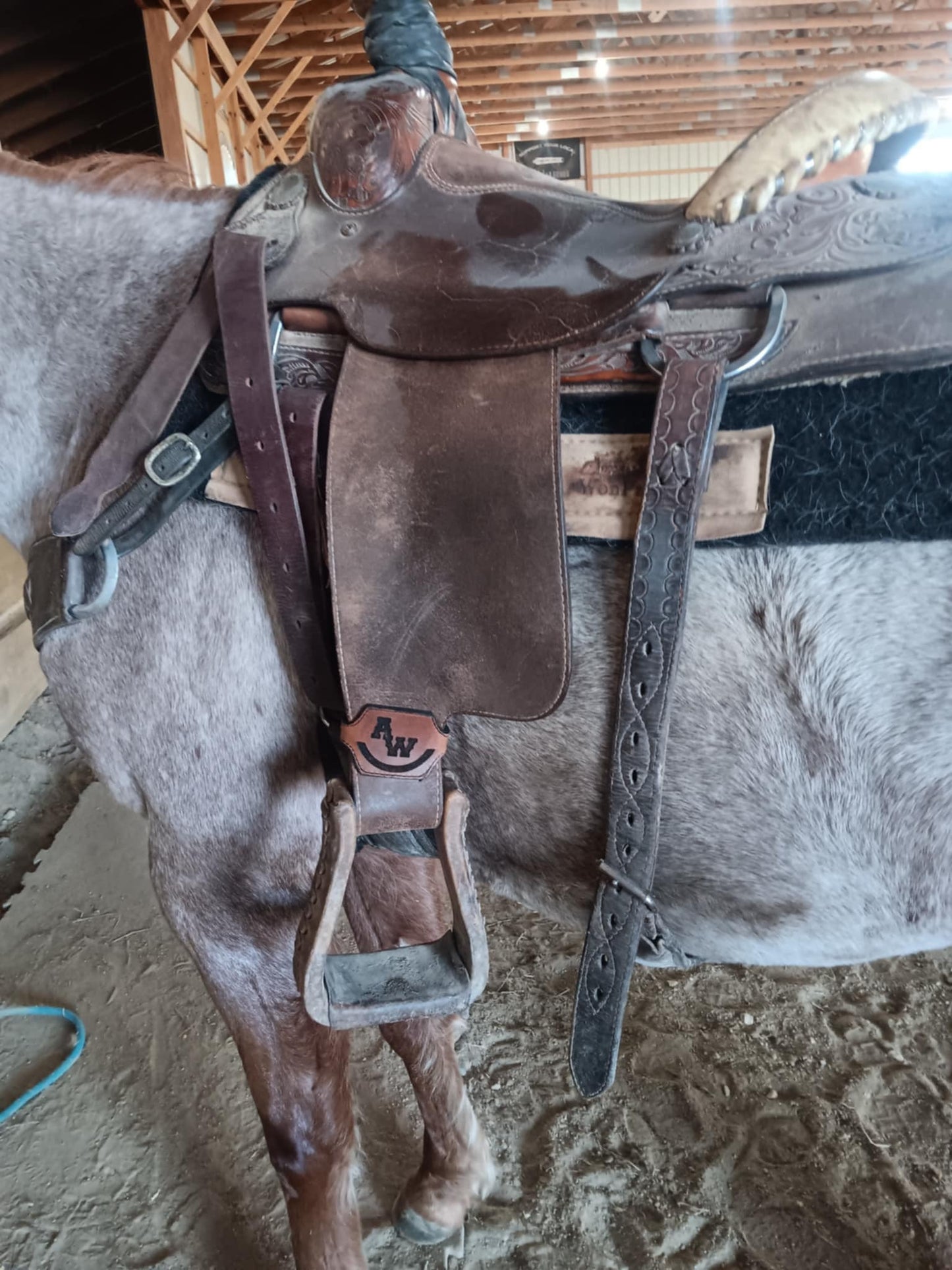 Stirrup hobble straps