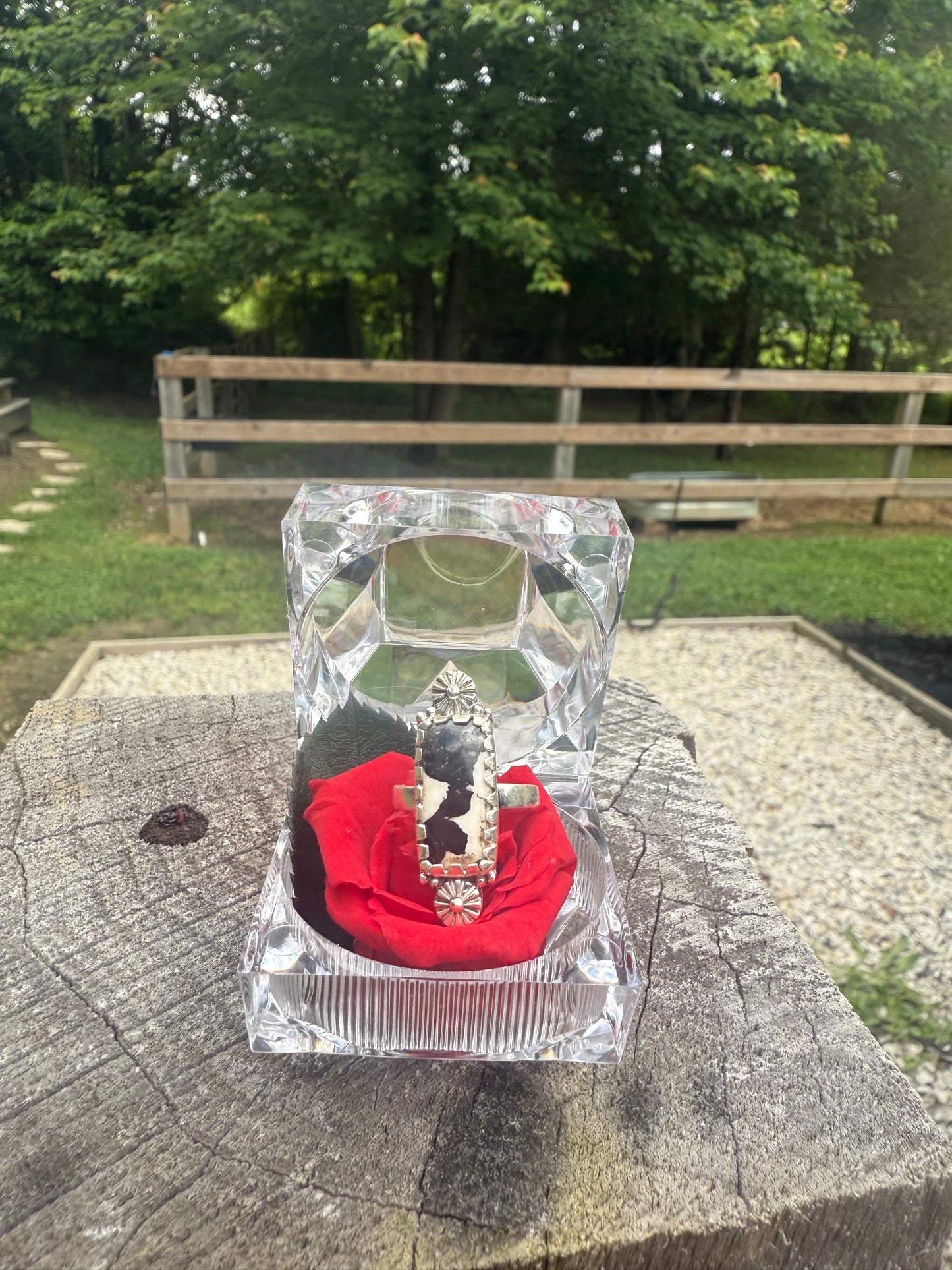 White buffalo ring (adjustable)